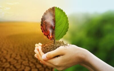Cambio climático y sostenibilidad